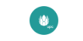 UPC cashback